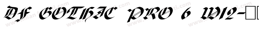 DF GOTHIC PRO 6 W12字体转换
